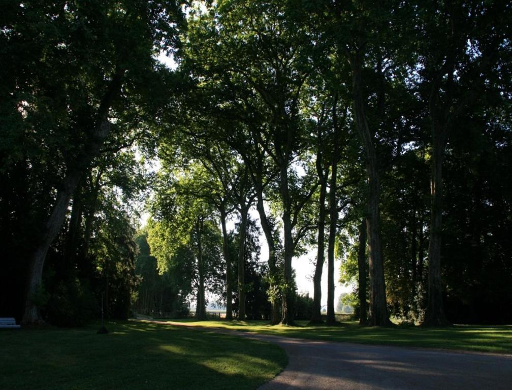Chateau De Villars Villeneuve-sur-Allier Екстериор снимка