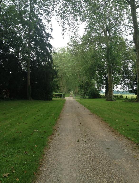 Chateau De Villars Villeneuve-sur-Allier Екстериор снимка